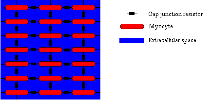 \begin{figure}\center\epsfig{file=MyoGap.eps,width=.8\textwidth}\end{figure}
