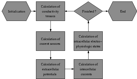 \begin{figure}\center\epsfig{file=bidomain.eps,width=1\textwidth}\end{figure}