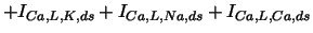 $\displaystyle +I_{Ca,L,K,ds}+I_{Ca,L,Na,ds}+I_{Ca,L,Ca,ds} \notag$