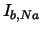 $ I_{b,Na}$