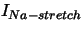 $ I_{Na-stretch}$