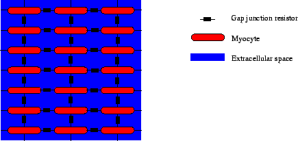 \begin{figure}\center\epsfig{file=MyoGap.eps,width=.8\textwidth}\end{figure}